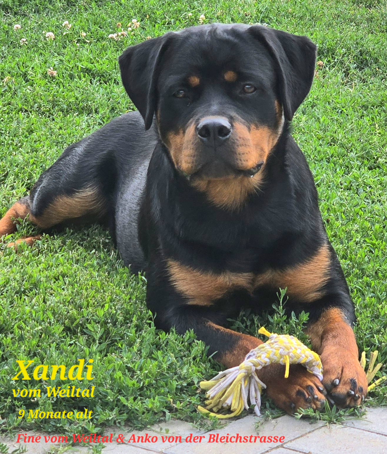 Xandi 9 Monate alt