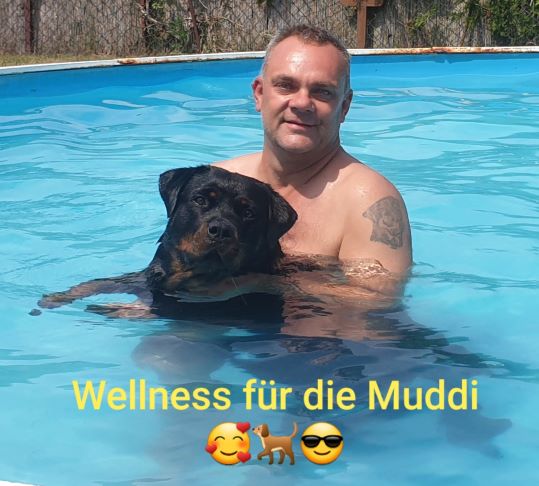 Pool_Wellness
