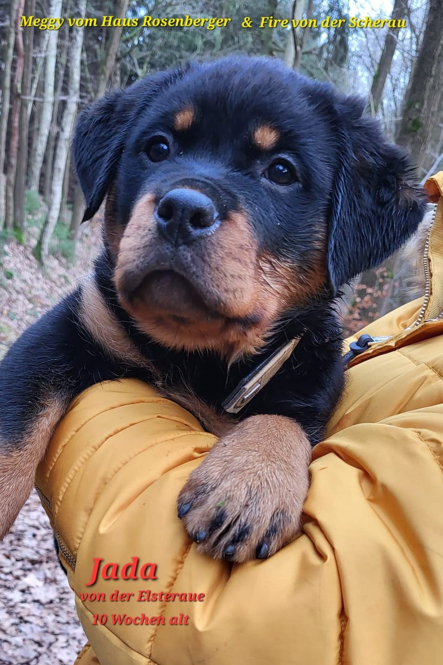 jada_10wochen