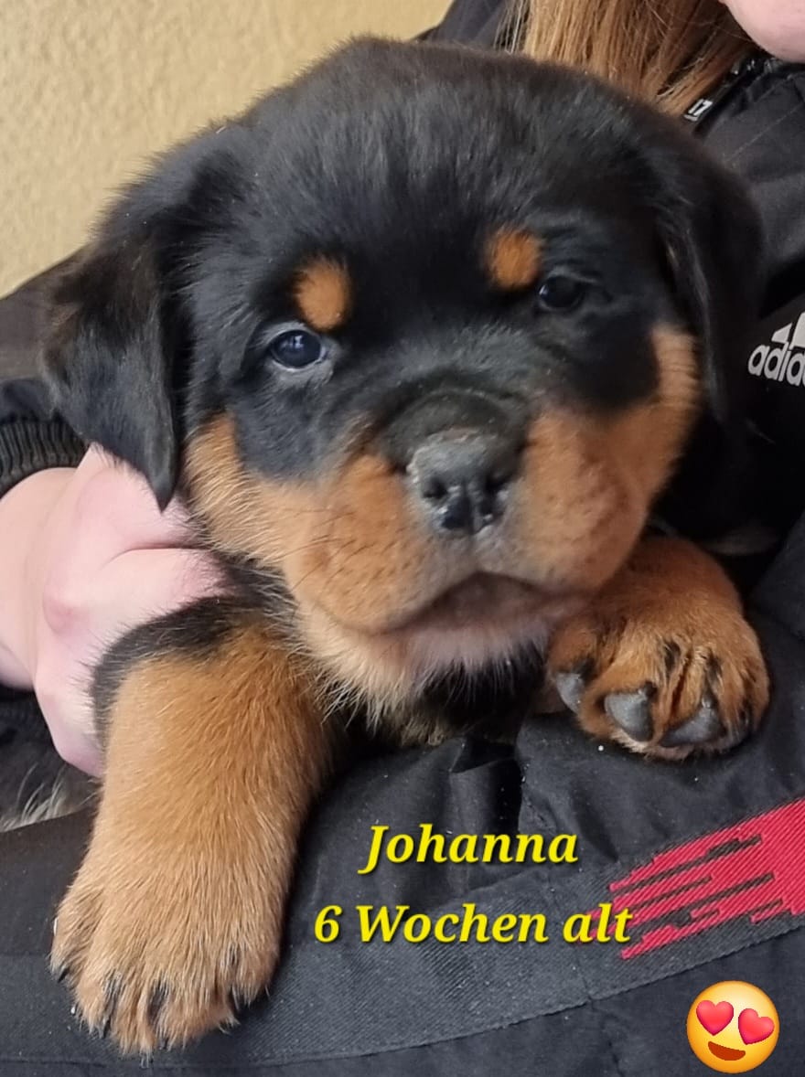 johanna_6wochen