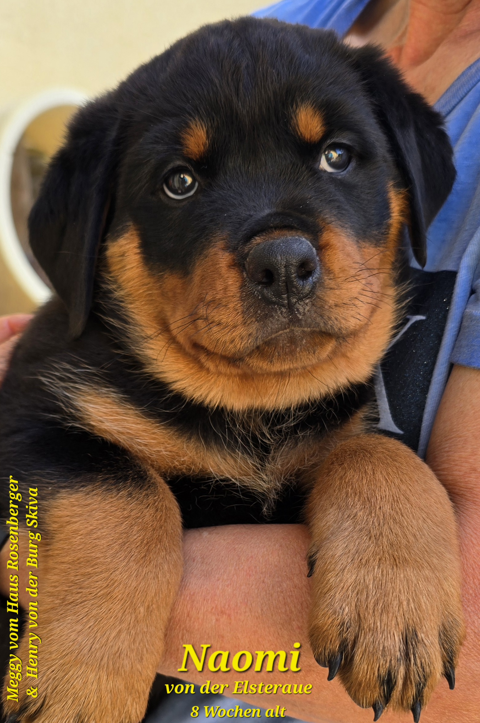 Naomi 8 Wochen alt